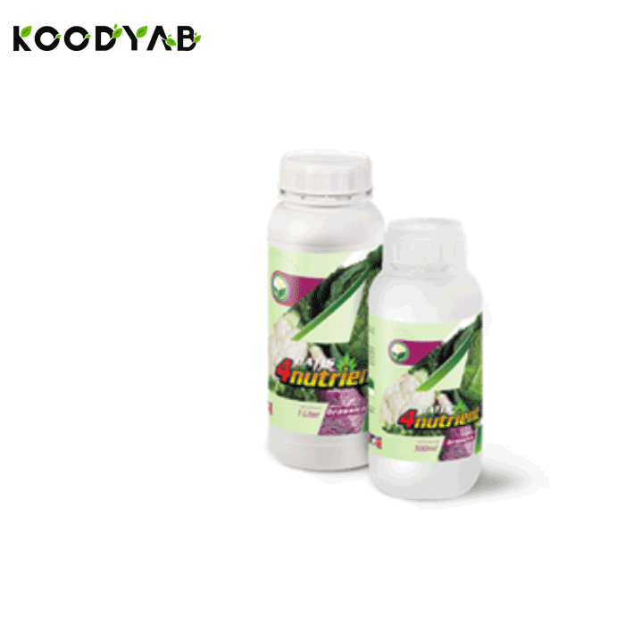 کود کلم داتیس