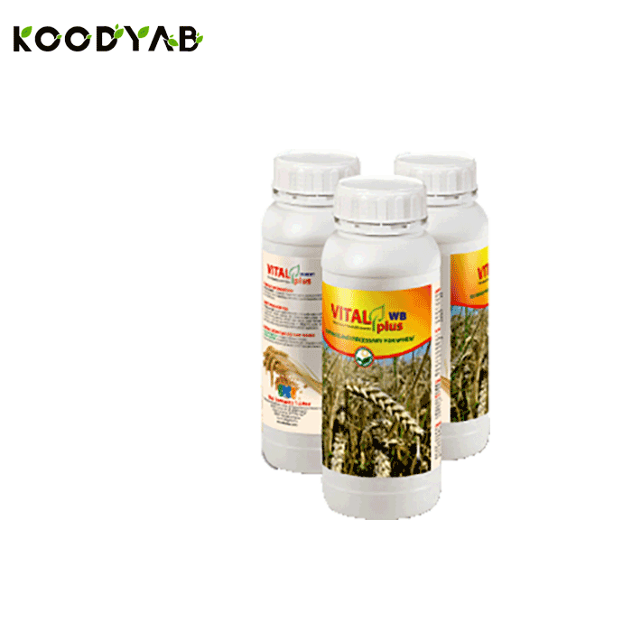 کود ویتال پلاس دبلیو بی داتیس