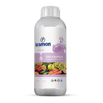 کود روی 60 ایرامون