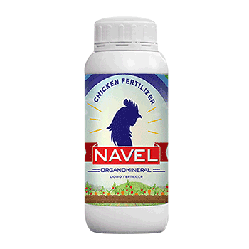 کود ناول دان نهال