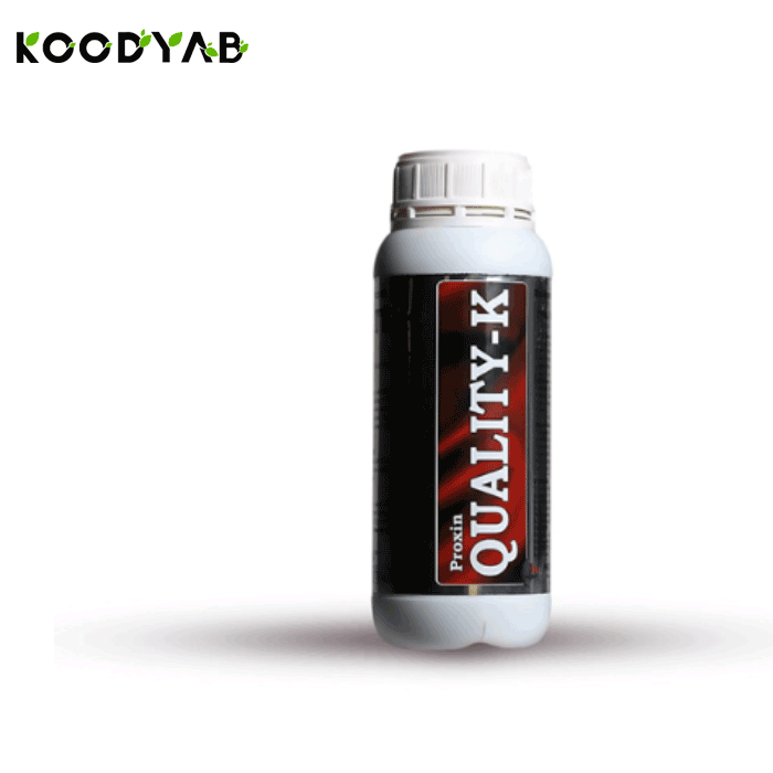 کود پروکسین کوالیتی کا میثاق