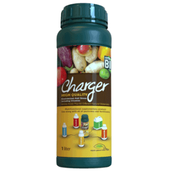 کود شارژر سوپرمکس