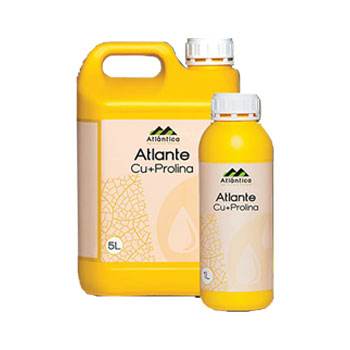 کود آتلانته مس پرو آتلانتیکا