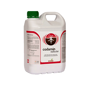 کود آمین رادیکولار  کدا