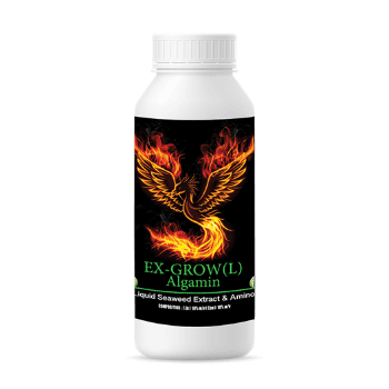 کود آلگامین ال 3 سبز آذر کاسپین