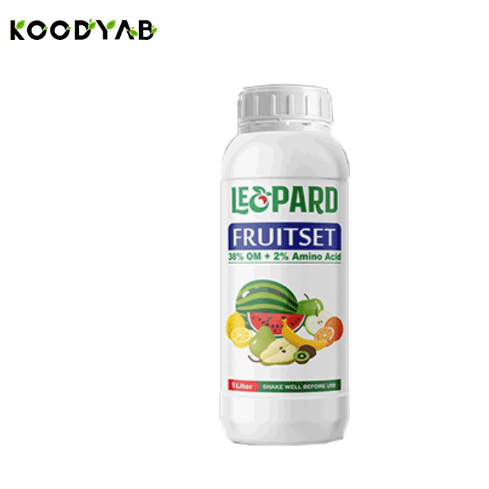 کود فروت ست لپرد