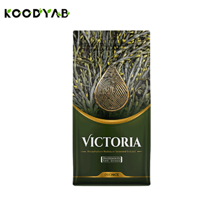 کود ویکتوریا جامد پرونایس