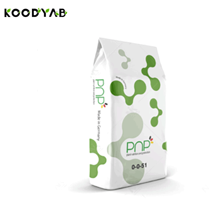 کود 51 0 0 پی ان پی