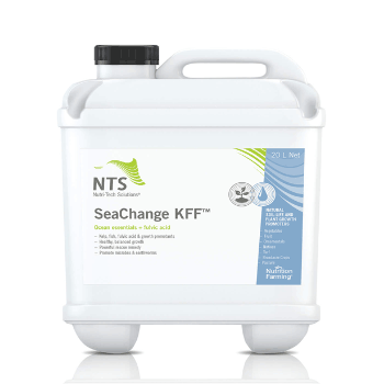 کود کا اف اف نیوتری تک سالیوشن 