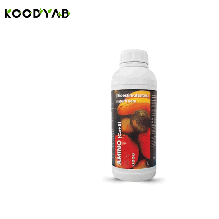 کود آمینو کلسیم بر نیچرخم