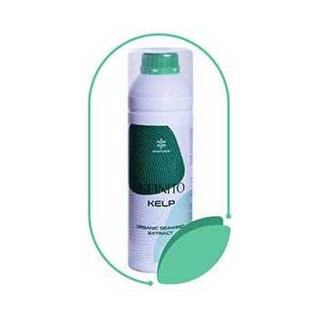 کود اینفینیتو کلپ اسمارت گرو