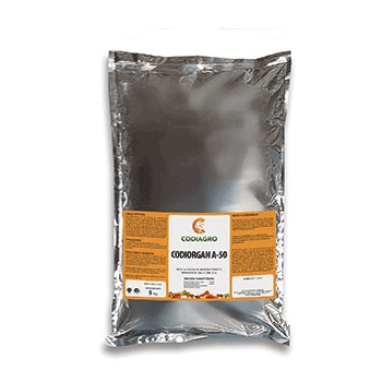 کود کدی ارگان آ 50 کودیاگرو