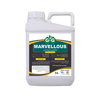 کود مارولوس جی اند جی