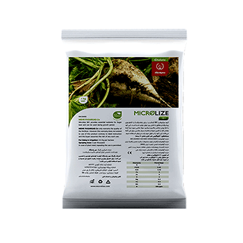 کود چغندرقند میکرولایز