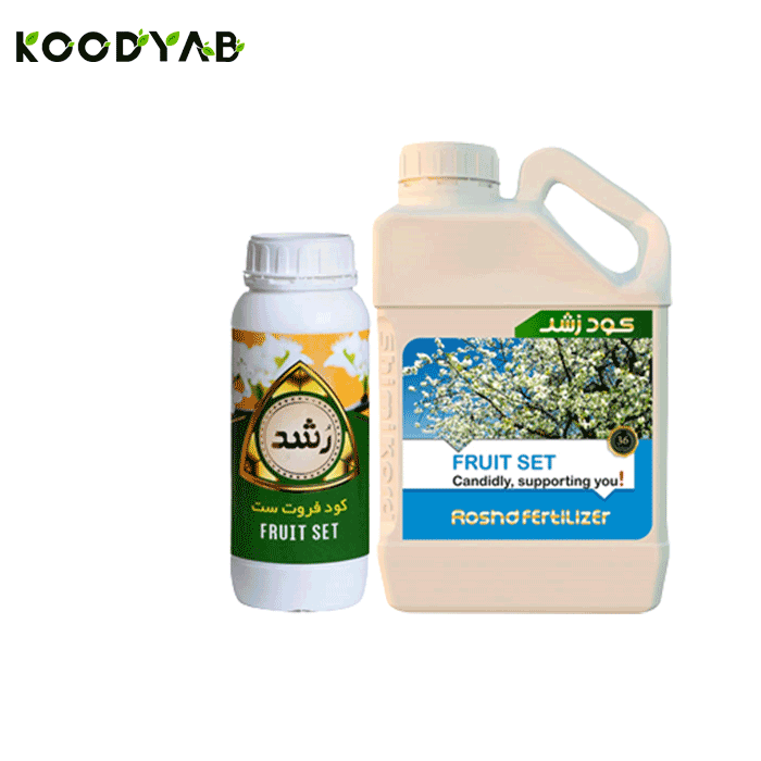 کود فروت ست رشد