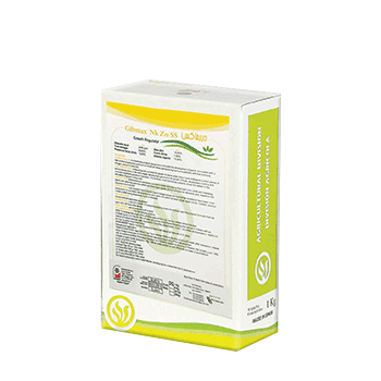 کود جیبماکس پروسیسا