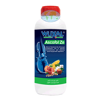 کود آسکوفول روی وکسال