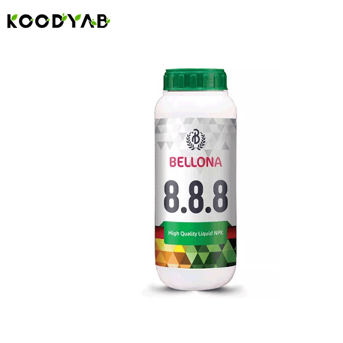 کود 8 8 8 بلونا