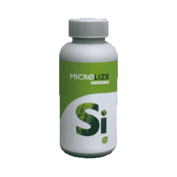 کود آمینو سیلیسیم9 میکرولایز