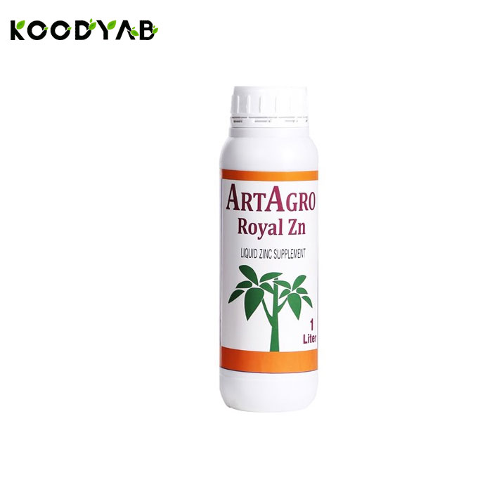 کود رویال روی آرتاگرو