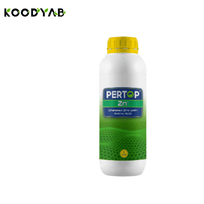 کود روی پرتاپ