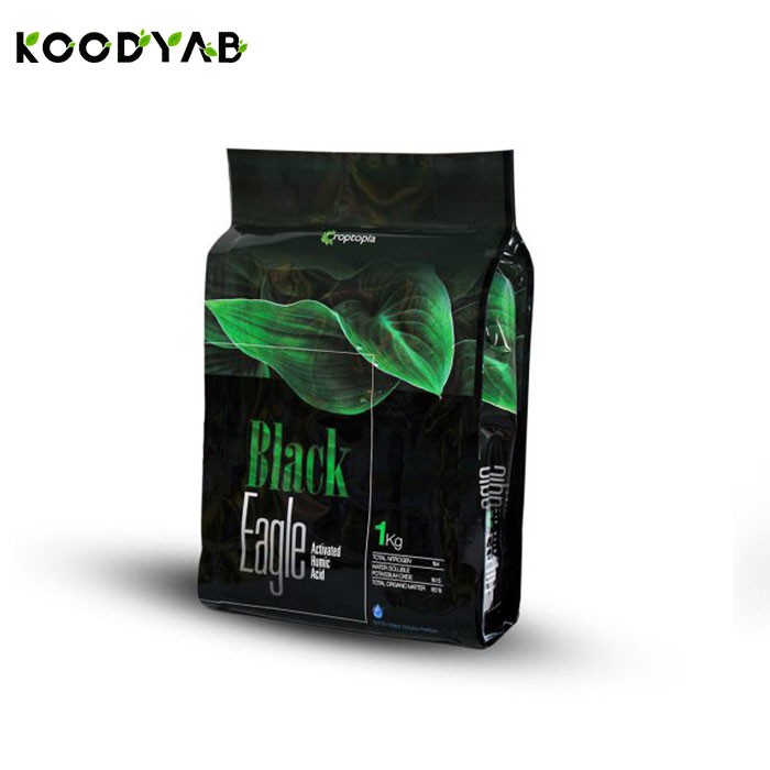 کود بلک ایگل راپتوپیا