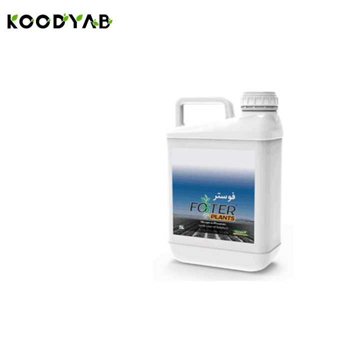 کود فوستر ایکس گرین 