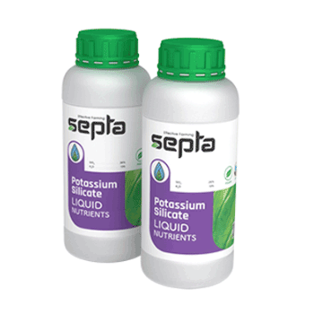 کود سیلیکات پتاسیم سپتا