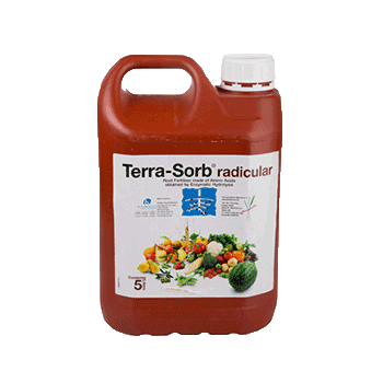 کود تراسورب رادیکولار بیوبریکا