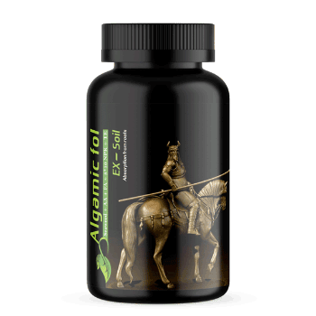 کود آلگامیک فول سبز آذر کاسپین