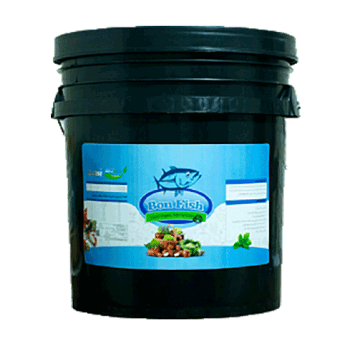 کود بن فیش بن شت