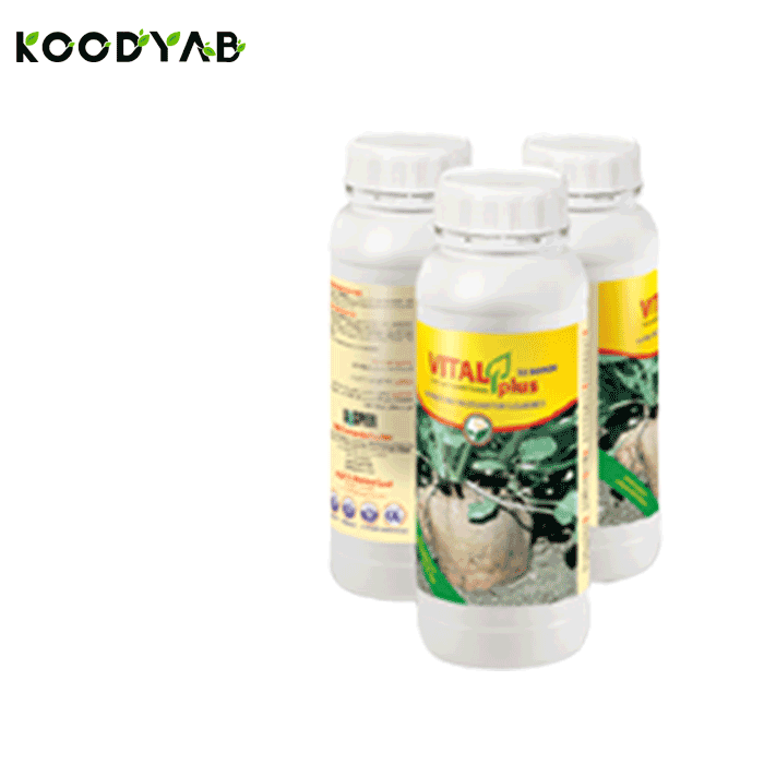 کود ویتال پلاس چغندرقند داتیس