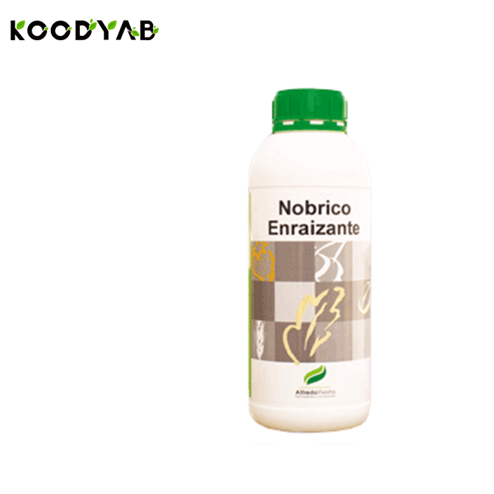 کود نوبریکو انریازنت آلفردواینستا