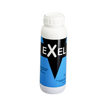 کود اكسل هورتیلند