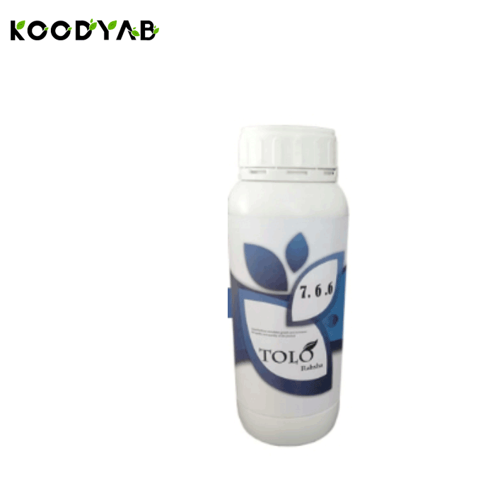 کود 6 6 7 طلوع رهشا