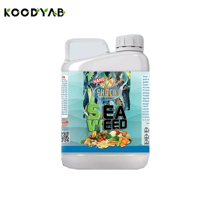 کود جلبک دریایی مایع شوک 5 لیتری  شوک