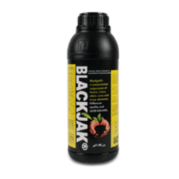 کود بلک جک گیتا شیمی سهند