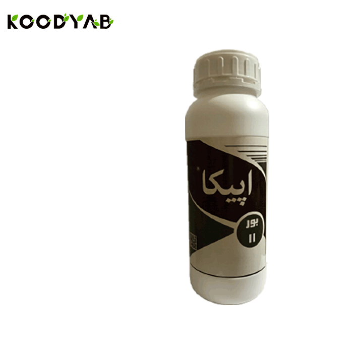 کود بور اپیکا