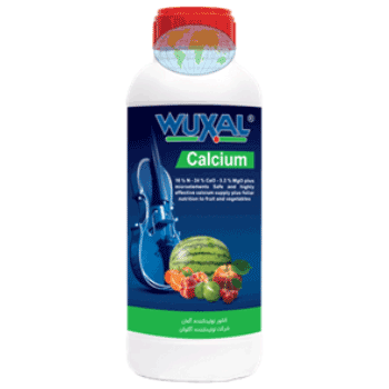 کود کلسیم وکسال