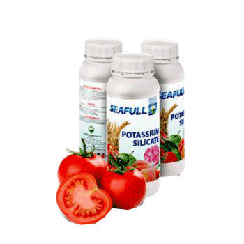 کود سی فول سیلیکا پتاسیم داتیس