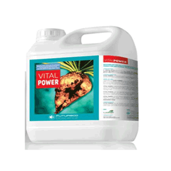 کود ویتال پاور فیوچرکو