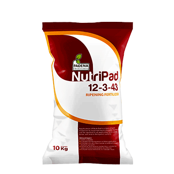 کود 43 3 12 پادنا