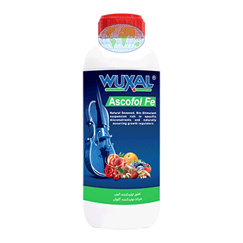 کود آسکوفول آهن وکسال