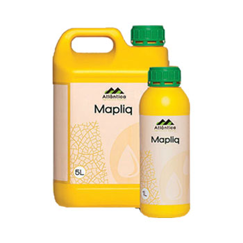 کود ماپلیک آتلانتیکا