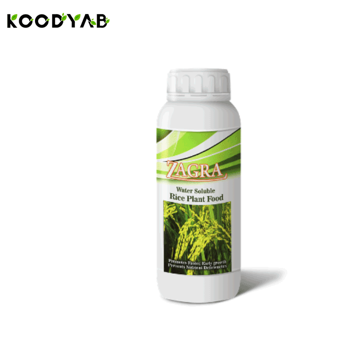 کود برنج زاگرا استار