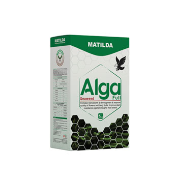 کود آلگافول ماتیلدا