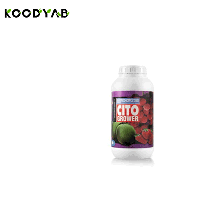 کود سیتو گروئر فیوچرکو