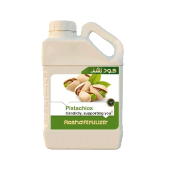 کود پسته رشد