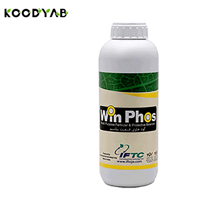 کود وین فوس آی اف تی سی