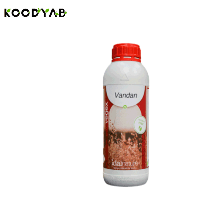 کود وندان آیدای نیچر